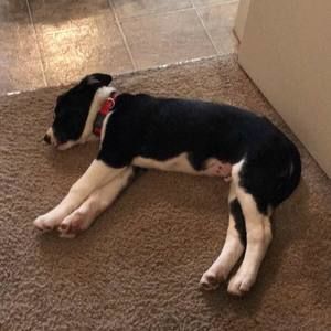 Meet your Posher, Melissa